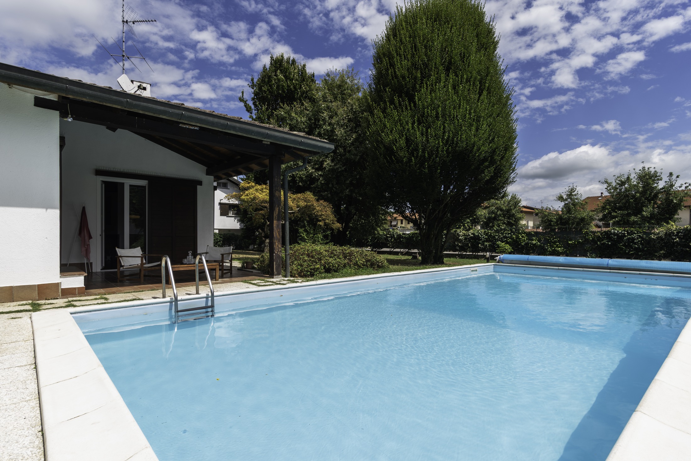 The pool — the Italian cypress at the corner
