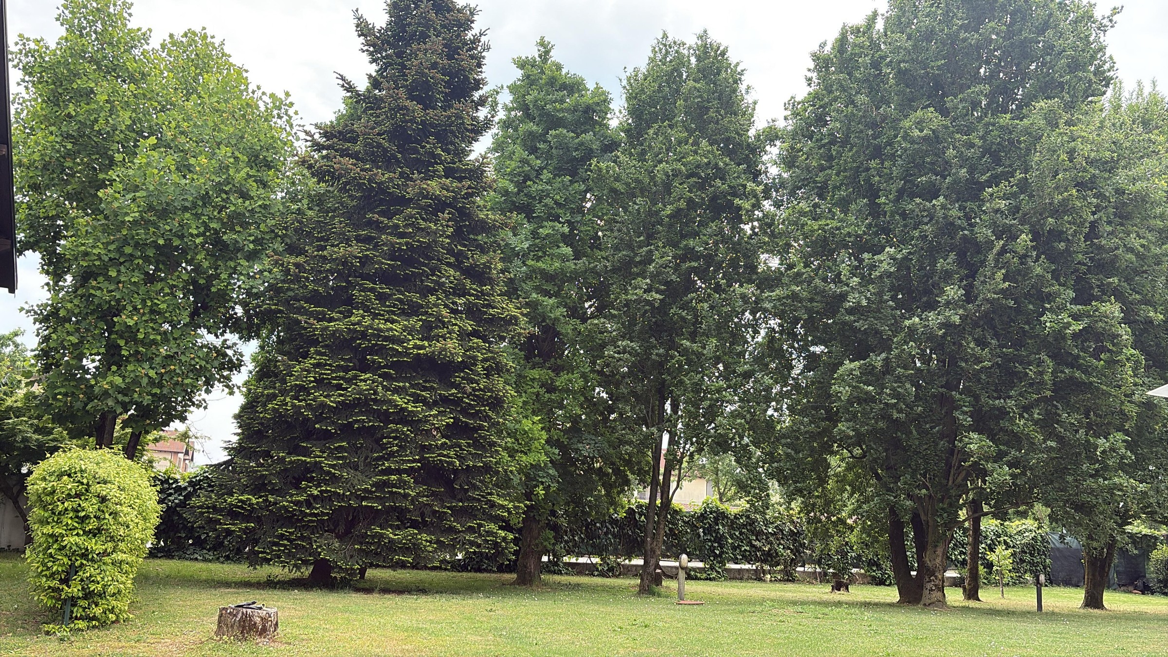 Villa Wanna garden — mature trees